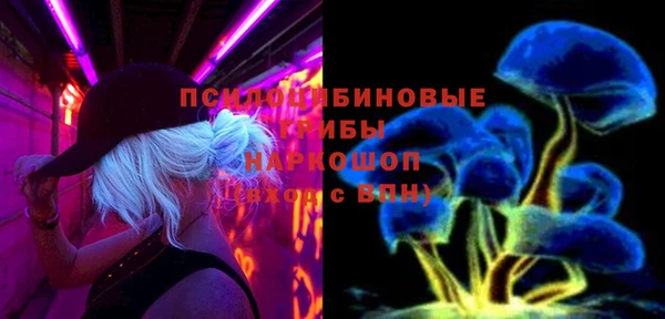 прущие грибы Заволжск