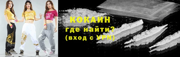 винт Елизово