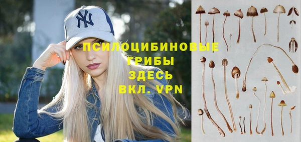 винт Елизово