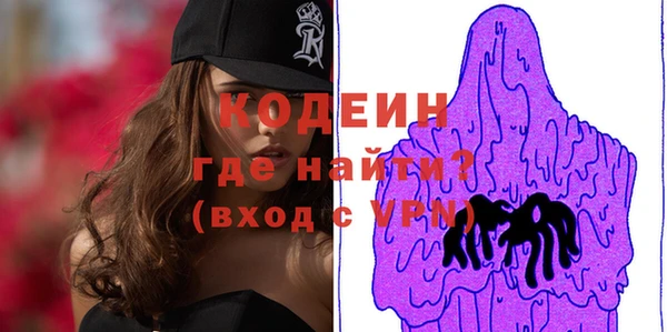 прущие грибы Заволжск