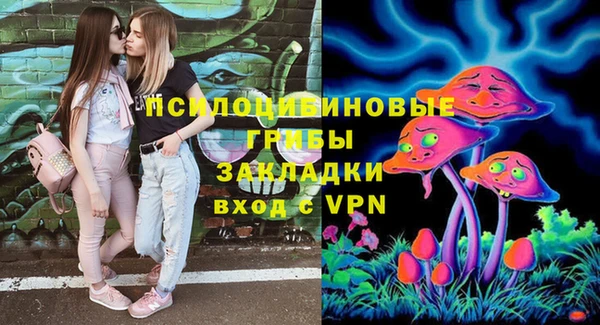 прущие грибы Заволжск