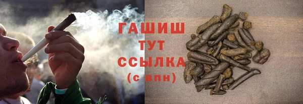 прущие грибы Заволжск